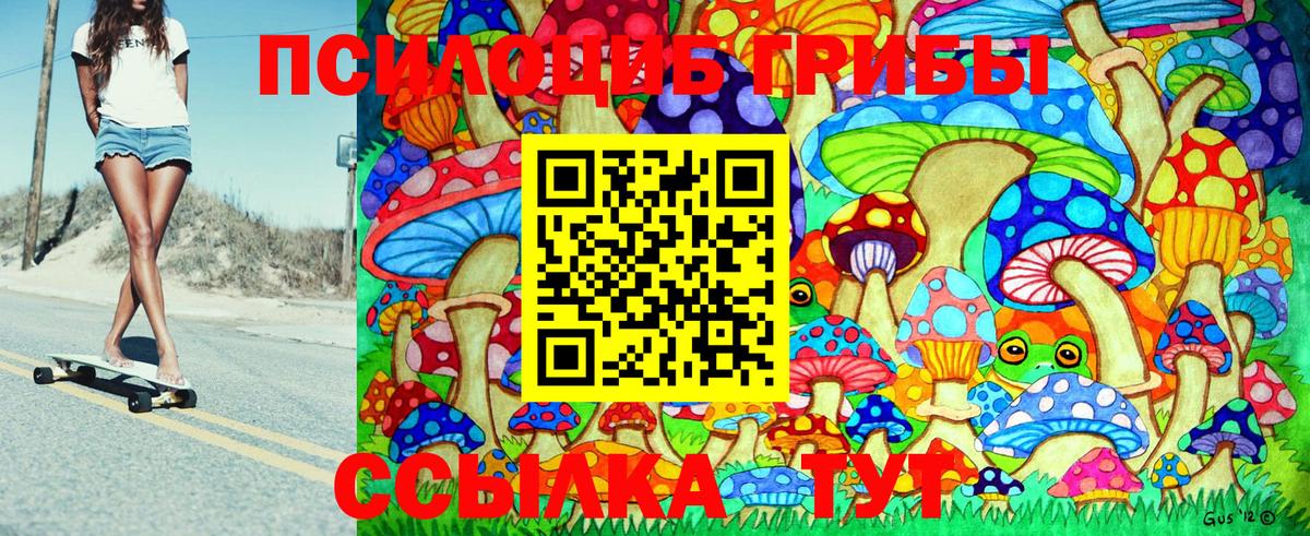 где купить наркоту  Вход с VPN  Коммунар  Псилоцибиновые грибы Psilocybe 
